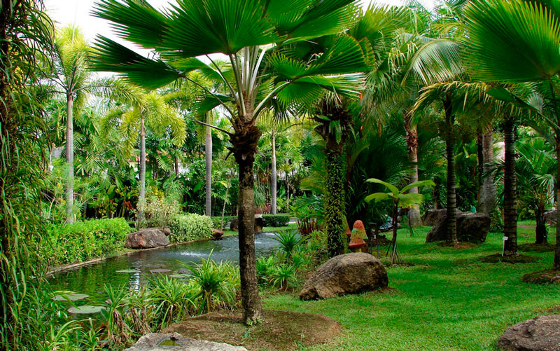 Ботанический сад Пхукета 