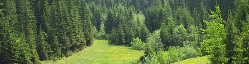 Природный парк самаровский чугас ханты мансийск фото