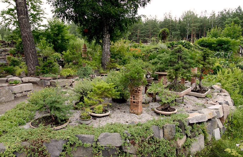Ботанический сад Новосибирска