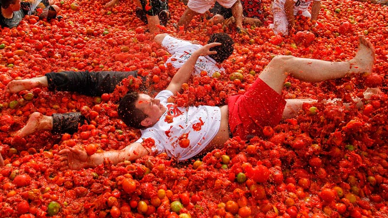 фестиваль помидорных боев