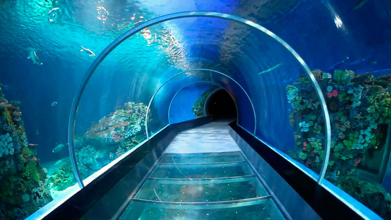 Океанариум (Phuket aquarium) 