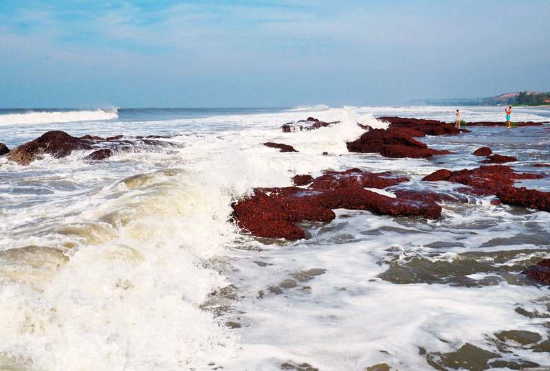 В Гоа волна унесла жизнь туриста