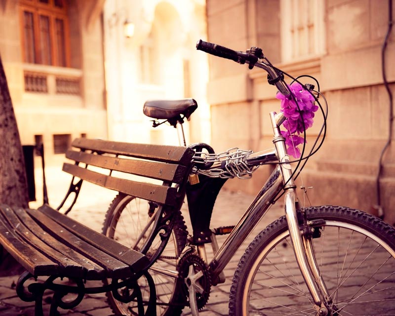 В Праге велосипедистам запретят кататься в дневное время